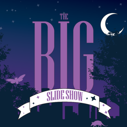 The Big Slide Show