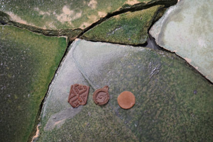 Only What the Wilderness Kept for Itself (Lo que la espesura conservó para sí misma)