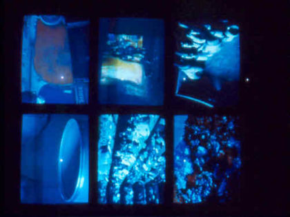 Debbie Niichel LeBlanc