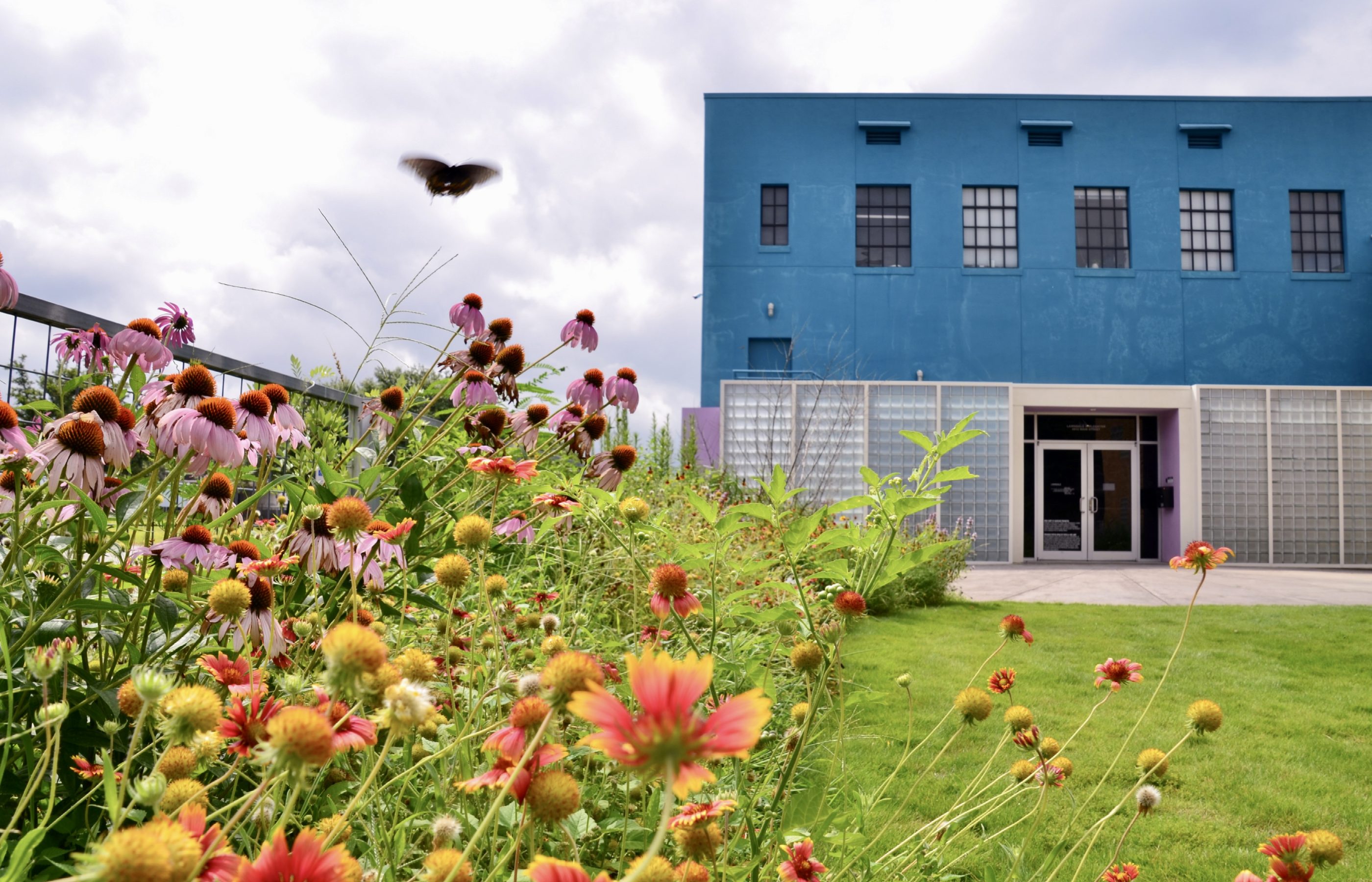 Lawndale ⁄ Water + Air + Citizens