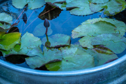 GroundWORK: A Hands-on Valentine’s Day Activity