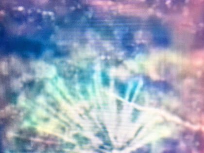 Lawndale Lending Library: Winter Lending Event