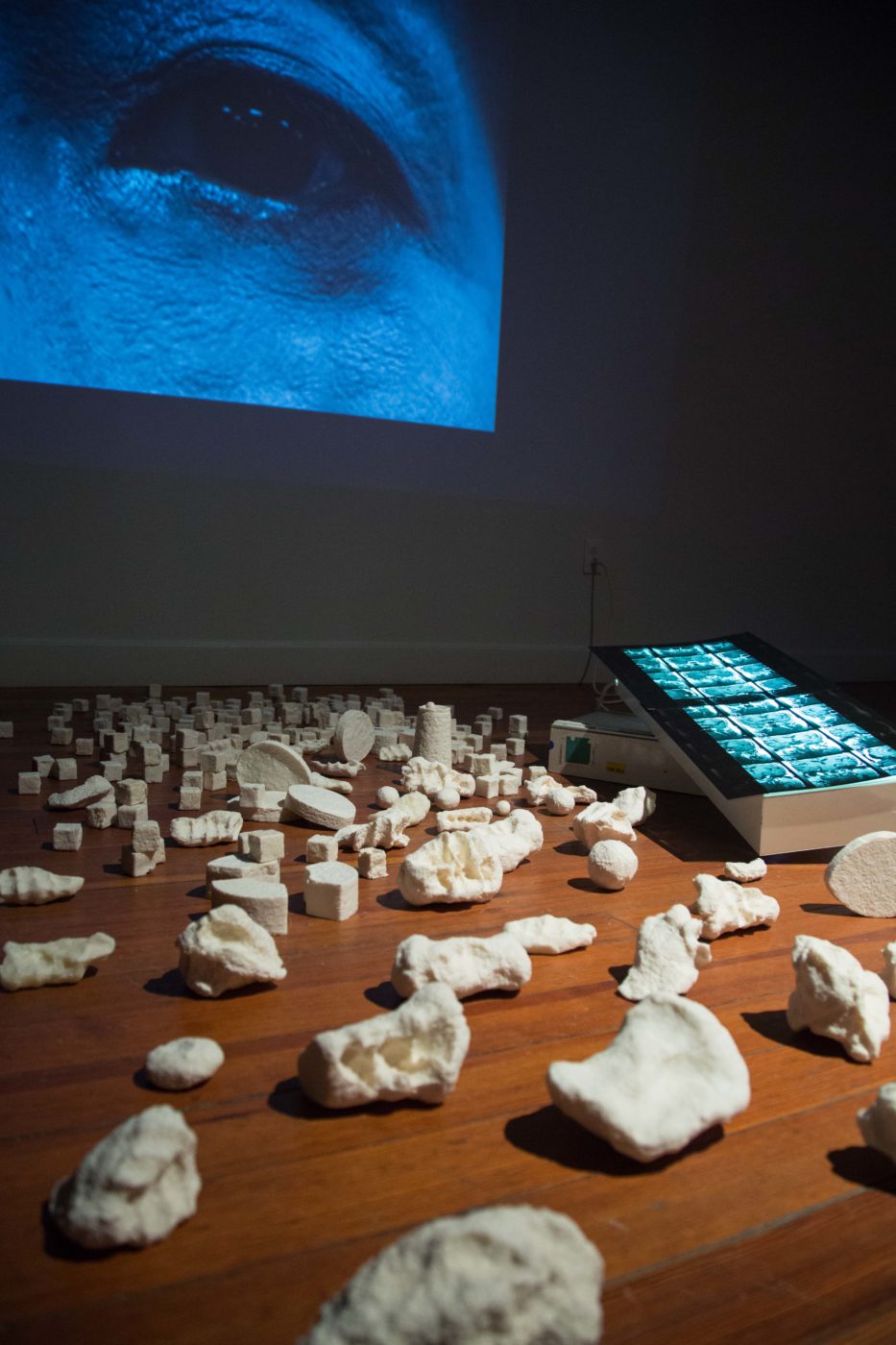 Lawndale ⁄ Mari Omori