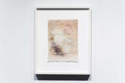 Margaux Crump, Marie Bannerot McInerney, and Gillian Tobin